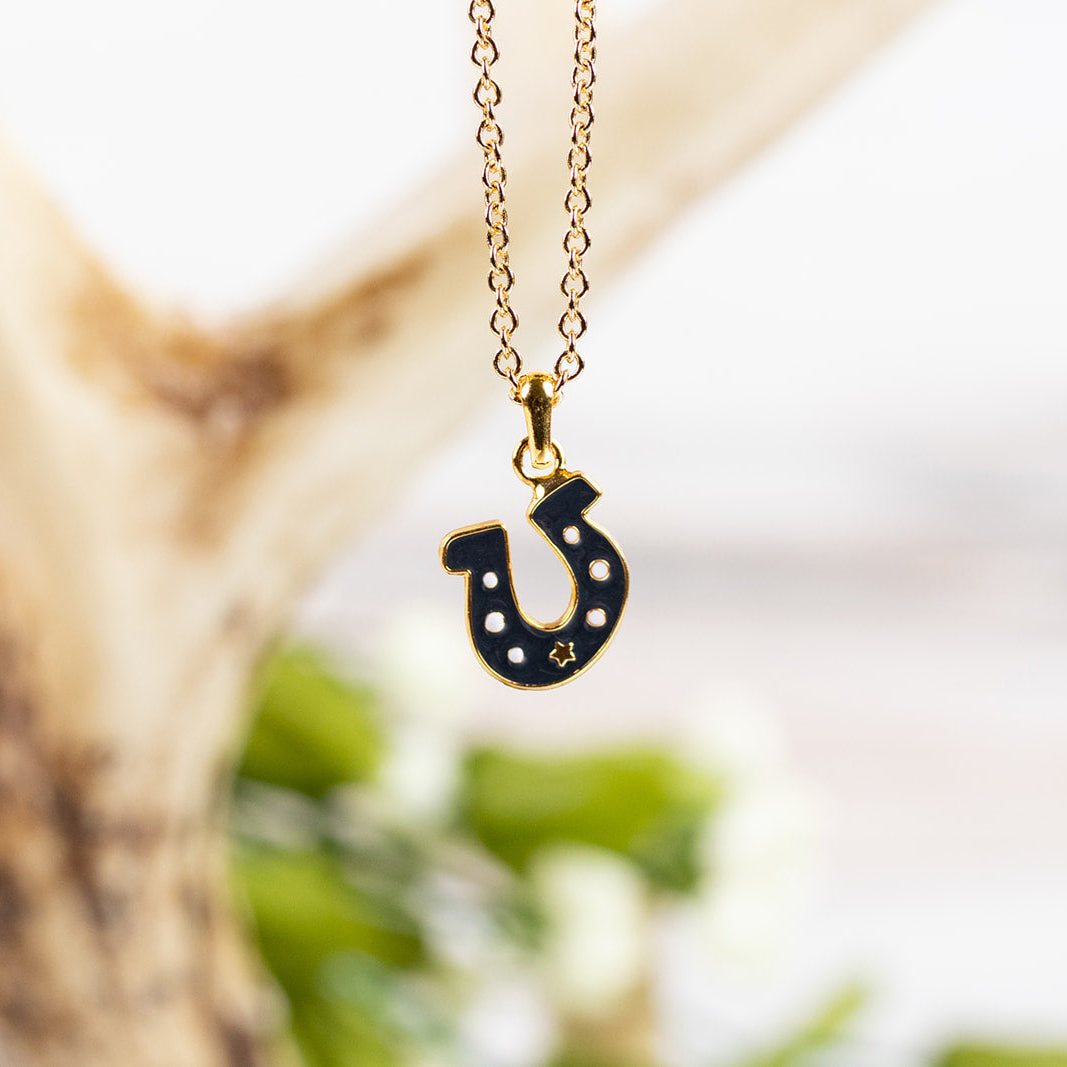 Necklace with a dark gray horseshoe pendant hanging in front of antlers with a blurred background