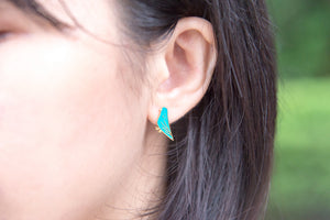 Lineolated Parakeet Enamel Stud Earrings