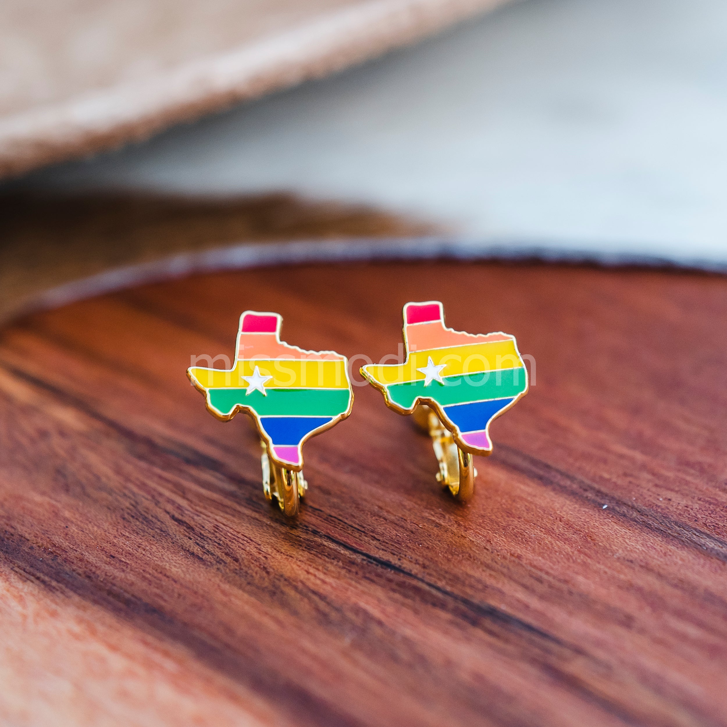 Texas Rainbow Enamel Screwback Clip Earrings | Miss Modi